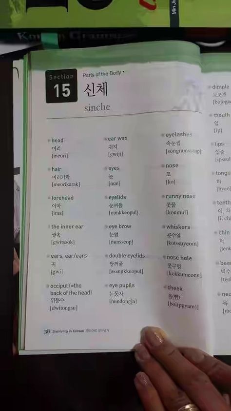 Korean Grammar Book, Learn Korean Book, Korean Learning Book, Korean Verbs, Learning Korean Grammar, Korean Slang, Learn Basic Korean, Learn Korean Alphabet, Easy Korean Words