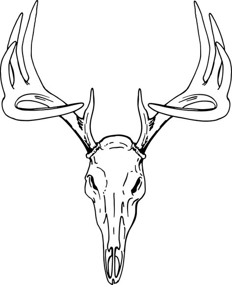 White Tail Buck Drawing, Western Vintage Tattoo, Deer Skull Outline, European Mount Tattoo, Deer Track Tattoo, Wild Life Drawing, Deer Skull Drawing, Deer Drawings, Clip Drawing