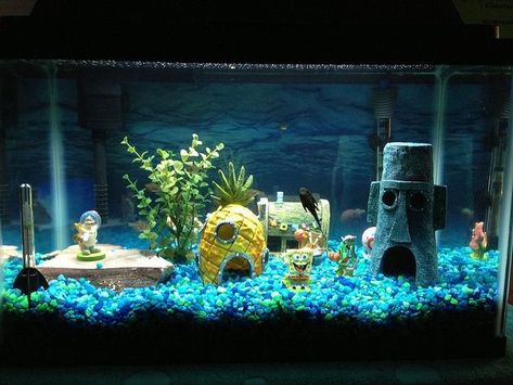 Aquarium decoration ideas Fish Tank Decoration Ideas, Tank Decoration Ideas, Fish Woman, Cichlid Tank, 10 Gallon Fish Tank, Large Fish Tanks, Jellyfish Decorations, Small Fish Tanks, Cool Fish Tanks