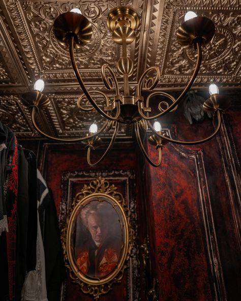 Closet Transformation, Dracula Castle, Bram Stoker's Dracula, Goth Home, Goth Home Decor, Goth Decor, Bram Stoker, Closet Goals, Gothic Decor