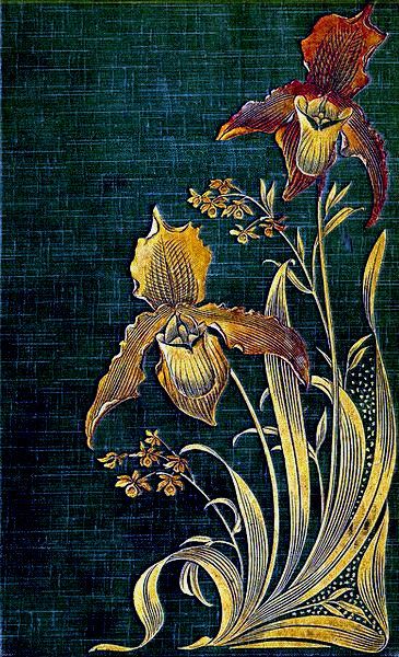 Art Deco Orientalism, Art Nouveau Orchid, Flower Tat, Orchid Images, Goldwork Embroidery, Book Pictures, Nature Motifs, Flower Art Drawing, Vintage Book Covers