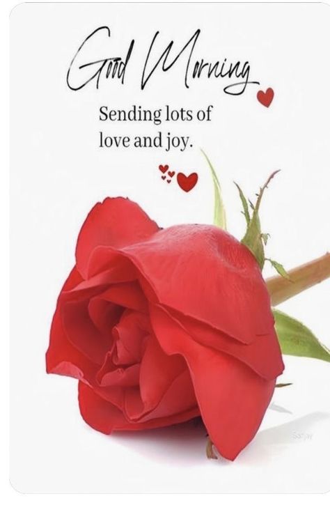 Sending Lots Of Love, Good Morning Rose Images, Morning Massage, Latest Good Morning Images, Good Morning Dear Friend, Love Good Morning Quotes, Good Morning Greeting Cards, Good Morning Flowers Rose, Good Morning Coffee Gif