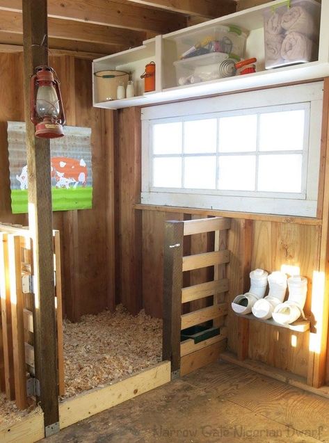 Goat Playground, Feed Room, Goat Shed, Goat Shelter, Goat Pen, Barn Stalls, Goat House, Goat Care, Goat Barn