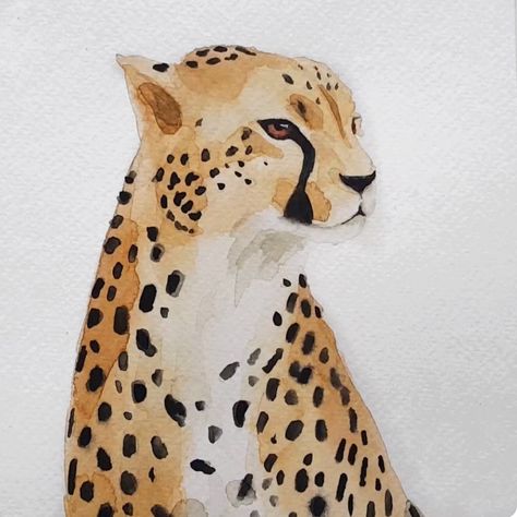 Cheetah Watercolor, Cheetah Drawing, Painting Time Lapse, Leopard Painting, Leopard Watercolor, Watercolor Paintings Of Animals, Animal Watercolor, Painting Walls, Watercolor Paintings For Beginners