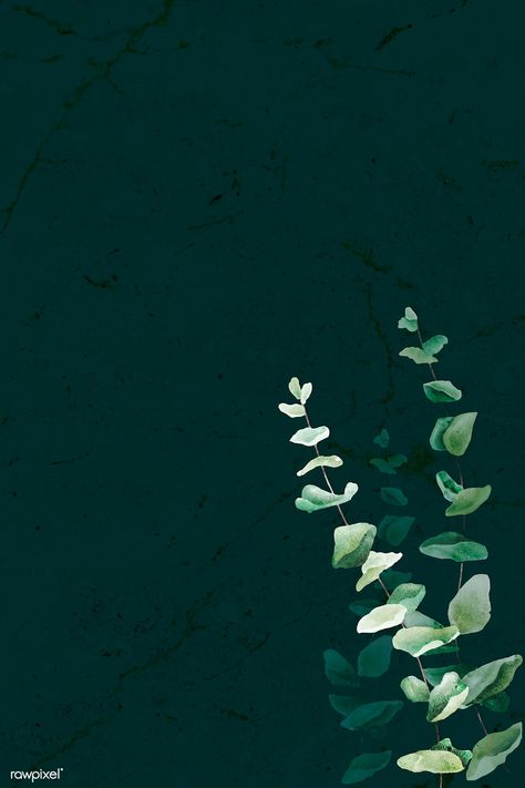 Hand drawn eucalyptus leaf pattern on dark background vector | premium image by rawpixel.com / Adj #vector #vectoart #digitalpainting #digitalartist #garphicdesign #sketch #digitaldrawing #doodle #illustrator #digitalillustration #modernart #leaves Aesthetic Boarders, Corner Wallpaper, Drawn Eucalyptus, Side Background, Dark Eucalyptus, Jewelry Background, Windows Themes, Botanical Background, Mac Backgrounds