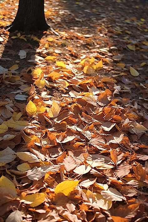 leaves laying on the ground Background Falling Leaves Wallpaper, Pile Of Leaves Aesthetic, Falling Leaves, Green Background With Leaves, Leaves Falling From Trees, Leafs Wallpapers Autumn, High Resolution Wallpapers, High Resolution, Hd Wallpaper