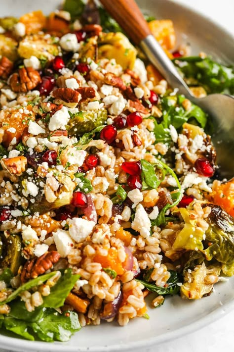 Harvest Farro Salad Antipasto Farro Salad, Farro Butternut Squash Salad, Farro Pomegranate Salad, Farro Kale Salad, Bethlehem Dinner, Meal Prep Business, Farro Salad Recipes, Farro Recipes, Homemade Vinaigrette