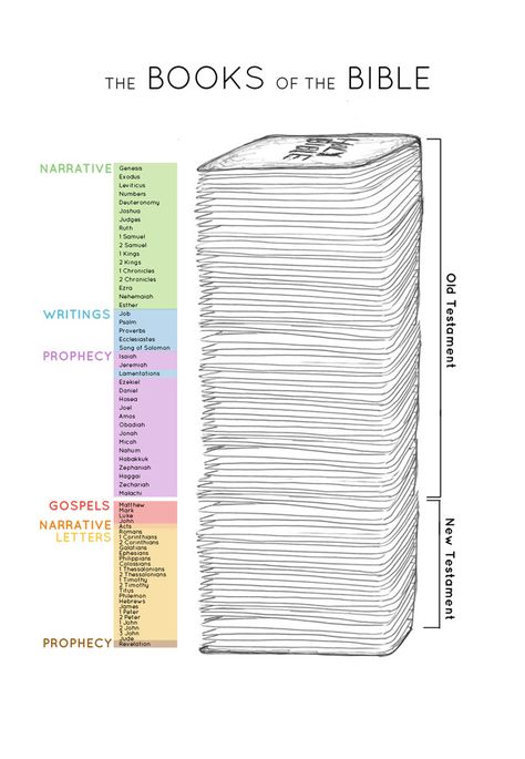 Bible Genealogy, Bible Timeline, Tell Me A Story, Bible Mapping, Understanding The Bible, Bible Study Tips, Bible History, Bible Study Notebook, Bible Study Lessons