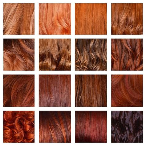 Wella Education on Instagram: “Client: I want to be a #redhead. Us: Define "red." #Hairdressers, how do you determine the right red for your clients? We left our…” Shades Of Red Hair, Colored Hair Tips, Brown Curls, Dark Auburn, G Hair, Ginger Hair Color, Copper Hair Color, Hair Color Auburn, Super Hair