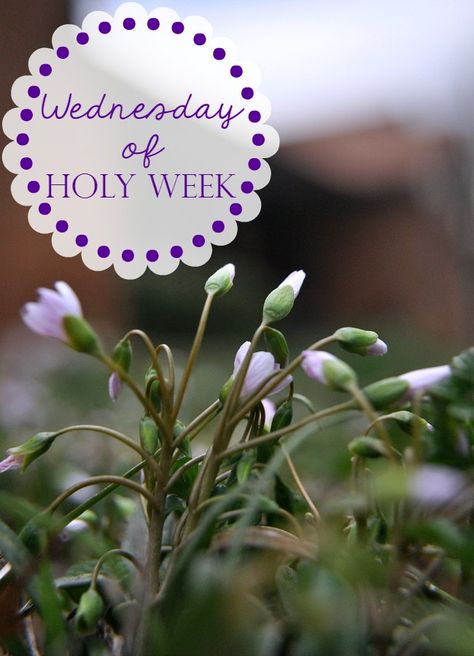 Spy Wednesday, Holy Wednesday, Birthday Wishes For A Friend Messages, Passion Week, Wednesday Prayer, Angels Bible, Catholic Theology, Wednesday Humor, Catholic Beliefs