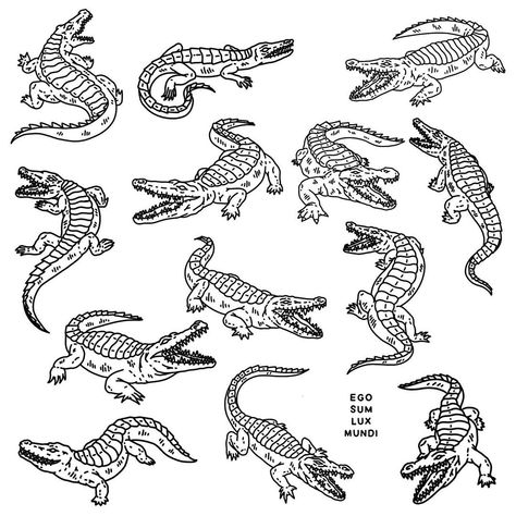 Traditional Tattoo Outline, Alligator Tattoo, Crocodile Tattoo, Tree Tattoo Back, Traditional Tattoo Art, Cute Tattoos For Women, Tattoo Art Drawings, Painted Boards, Tattoo Outline