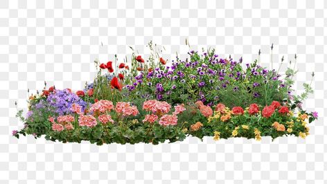 Croquis, Bushes With Flowers, Bushes Png, Bush With Flowers, Bush Of Flowers, Flower Garden Background, Flower Png Transparent Background, Flowers Bush, Garden Stickers