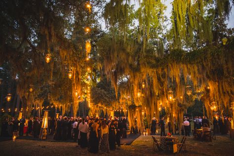 Spanish Moss Wedding, Bayou Wedding, Moss Wedding, Movies Art, Louisiana Wedding, Yosemite Wedding, Vogue Wedding, Rose Hill, Spanish Moss