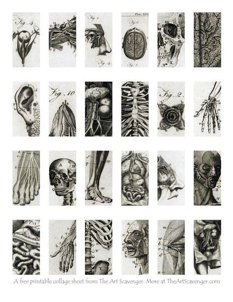 Dark Scrapbook Stickers, Mixed Media Anatomy Art, Free Printable Gothic Wall Art, Black And White Scrapbook Printables, Dark Stickers Printable, Free Gothic Printables, Free Stickers Printables Aesthetic, Vintage Junk Journal Free Printable Collage Sheet, Gothic Stickers Printable