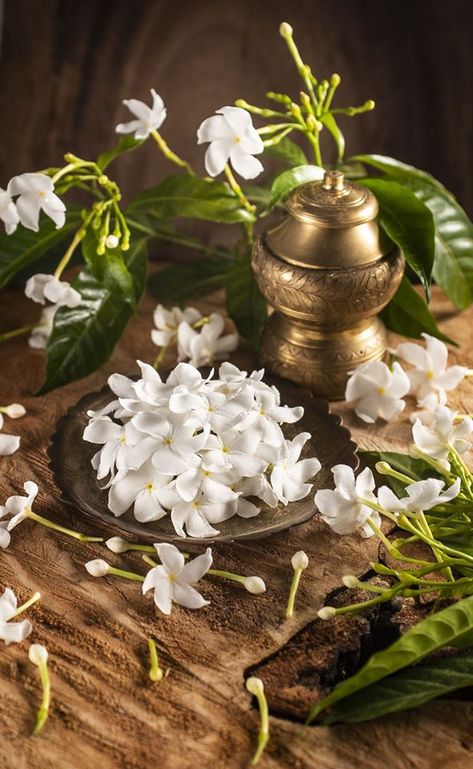 Indian Ayurveda Aesthetic, Ayurveda Photography, Ayurvedic Aesthetic, Aroma Aesthetic, Ayurveda Aesthetic, Jasmine Aesthetic, Spa Ceylon, Ayurveda Beauty, Emotional Disturbance