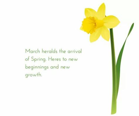 March heralds... Nature, March Quotes, March Pisces, Hello March, 1 March, Spring Clipart, Spring Pictures, Inner Goddess, Nice Art