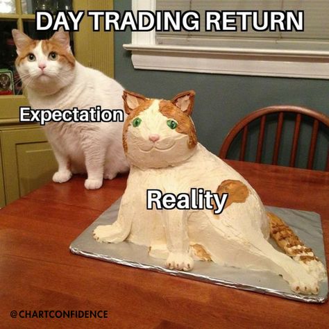 Follow @chartconfidence for more day trading tips so you don’t miss a thing! 🔔

Comment the word “More Meme” to get more day trading strategies posted on this page. 👇

#chartconfidence #LaKiesha #tradingview #tradingstocks #tradingtips #tradingstrategy  #tradingeducation #tradingmotivation  #finance #financetips #financegoals #financecoach #investinyourself #investor #investingtips #investor #investmentproperty #meme #fun #memetrading #daytrading Cat Birthday Memes, Conservative Memes, Memes Sarcastic, Zodiac Memes, Birthday Meme, Morning Humor, Diabolik, Diabolik Lovers, Cat Birthday