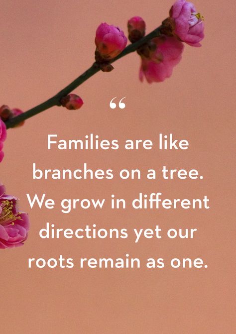 Family Encouragement Quotes, Family Love Quotes Blessed Be Thankful, Extended Family Quotes, Family Matters Quotes, Positive Family Quotes, Family Quotes Importance Of, Aunt Meme, Importance Of Family Quotes, Chosen Family Quotes