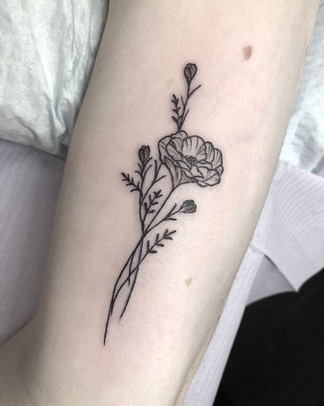 Primrose Tattoo Company on Twitter: "Wildflowers https://t.co/SNt3RxAL39" / Twitter Poppy Flower Tattoo Small, Simple Poppy Tattoo, Poppy Tattoo Ideas, California Poppy Tattoo, Wildflowers Tattoo, Poppy Flower Tattoo, Simple Flower Tattoo, Poppy Tattoo, California Tattoo