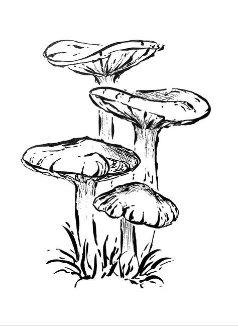 Mushroom Art Reference, Sketchbook Art Inspiration Mushroom, Art Sketches Mushrooms, Cluster Of Mushrooms Drawing, Ink Drawing Mushroom, Flat Mushroom Drawing, Sketch Of Mushroom, Mushroom Nature Drawing, Mushroom Ideas Drawing