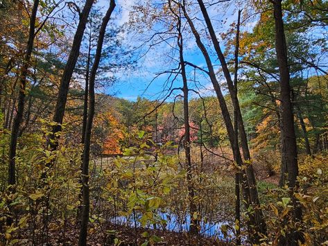 Walden Pond Life In The Woods, Walden Pond, Concord Massachusetts, Boston History, Historical Places, Body Of Water, Henry David Thoreau, Historical Landmarks, Historical Place