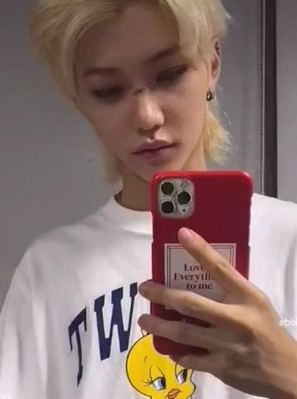 Felix On His Phone, Felix Phone Case, Stray Kids, Bts, Sun, Quick Saves