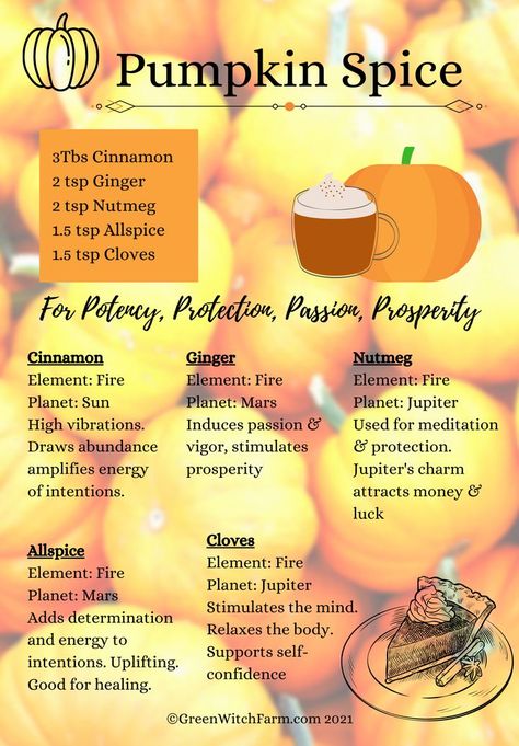 Pumpkin Spice Witchcraft, Seasonal Witchcraft, Samhain Food, Mabon Recipes, Defensive Magic, Witchy Plants, Samhain Recipes, Pumpkin Magic, Wiccan Books