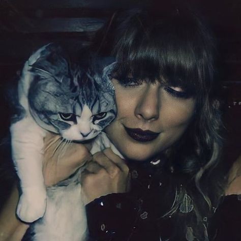 Taylor Swift Cat, Swift Tour, Red Tour, Forever Girl, Stadium Tour, Live Taylor, Cat Aesthetic, Taylor Swift Pictures, Taylor Alison Swift