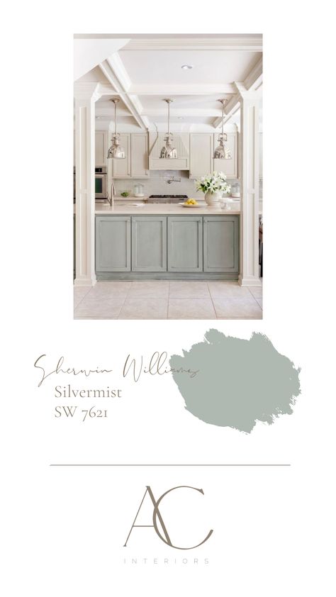 Silvermist Cabinets Sherwin Williams, Inside Home Paint Colors, Pale Oak Vs Repose Gray, Sw Silvermist Bathroom, Silvermist Sherwin Williams Kitchen, Quietude Sherwin Williams Kitchen, Sw Willow Leaf, Silvermist Cabinets, Rainwashed Sherwin Williams Kitchen