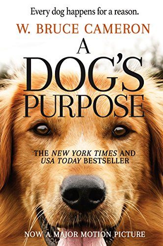 Book Review A Dog's Purpose by W. Bruce Cameron A Dog's Purpose, A Dog's Journey, Peggy Lipton, Cider House Rules, A Dogs Purpose, Answer To Life, Dog Search, Dog Books, Dog Stories