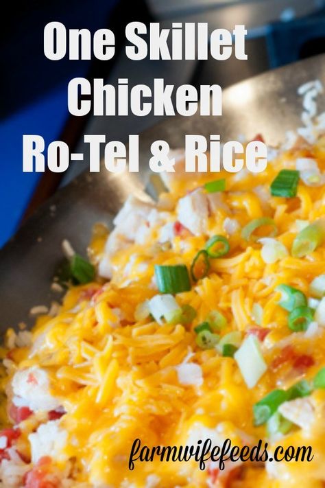 Rotel With Chicken, Chicken Rice Rotel Casserole, Chicken Rotel Rice Recipes, Rice And Rotel Recipes, Electric Skillet Recipes Chicken, Rotel Chicken Recipes, Rotel And Chicken Recipes, Chicken And Rice Skillet Easy, Rotel Chicken And Rice