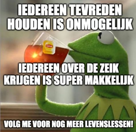 Dutch Quotes, Kermit The Frog, Make Me Smile, Me Quotes, Funny Pictures, Humor, Instagram Post, Instagram Posts, Memes