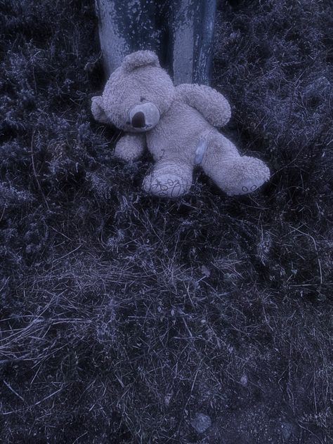 Bear toy Bear Core Aesthetic, Abandoned Teddy Bear, Bear Trap Aesthetic, Creepy Toys Aesthetic, Lost Child Aesthetic, Bear Doll Aesthetic, Annihilation Bear, Ripped Teddy Bear, Leaf Coneybear