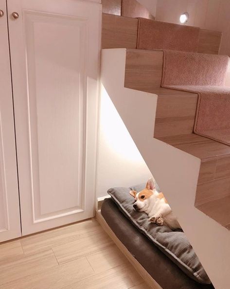 Under Stairs Dog Room, Indoor Dog Room, Stairs Dog House, Dog Under Stairs, Bed Under Stairs, Under Stairs Dog House, Dog Nook, Room Under Stairs, Dog Room Decor