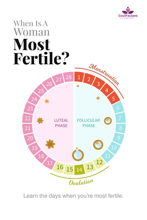 Most Fertile Days Charts, How To Track Ovulation Cycle, Tracking Ovulation, Ovulation Signs, Ovulation Symptoms, Ovulation Calculator, Ovulation Cycle, Fertility Tracking, Ovulation Tracking