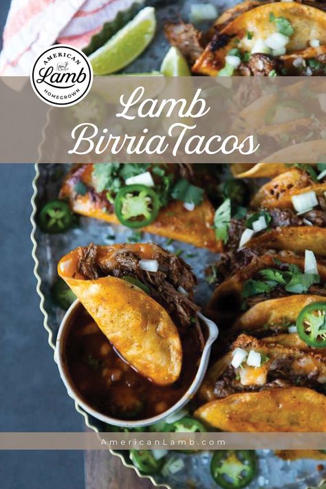 Loaded with juicy, chile-spiced succulent lamb shanks, this easy lamb birria taco recipe is a real keeper ❤️ Mexican Lamb Recipes, Lamb Birria Tacos, Lamb Birria, Lamb Tacos Recipes, Birria Taco Recipe, Lamb Rack Recipe, Lamb Tacos, Lamb Taco, Hot Recipes