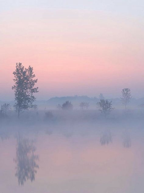 Misty Field, Mind Peace, Foggy Sunrise, Misty Dawn, Light Spring Colors, Misty Morning, Tableau Art, Water Art, Winter Scenery