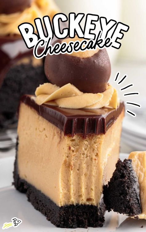 Peanut Butter Buckeye Cheesecake, Buckeye Pie No Bake, Buckeye Cake Recipe, No Bake Buckeye Cheesecake, Buckeye Bundt Cake Recipe, No Bake Buckeye Cheesecake Bars, Buckeye Cheesecake Recipe, Buckeye Pie Recipe, Buckeye Recipes