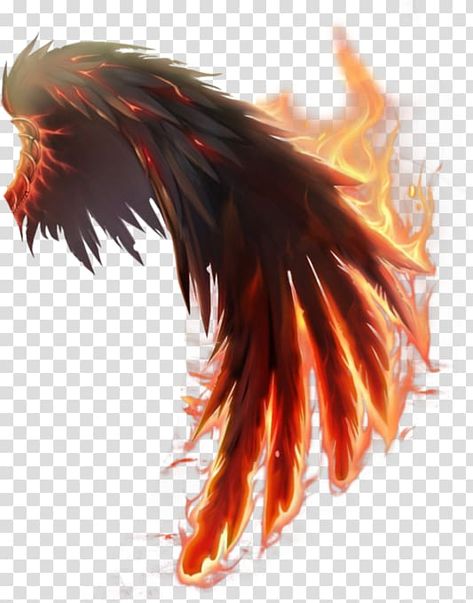 Fire Wings Angels, Flame Wings, Wing Illustration, Fire Wings, Instagram Logo Transparent, Wings Sketch, Fire Png, Computer Icons, Wings Wallpaper