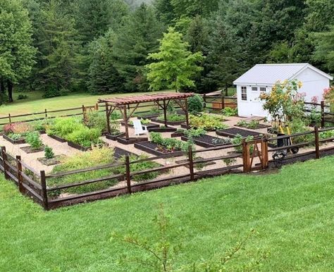 Aviva Romm, Homestead Gardens, Backyard Greenhouse, Backyard Vegetable Gardens, Veg Garden, Have Inspiration, Backyard Farming, Home Vegetable Garden, Garden Yard Ideas