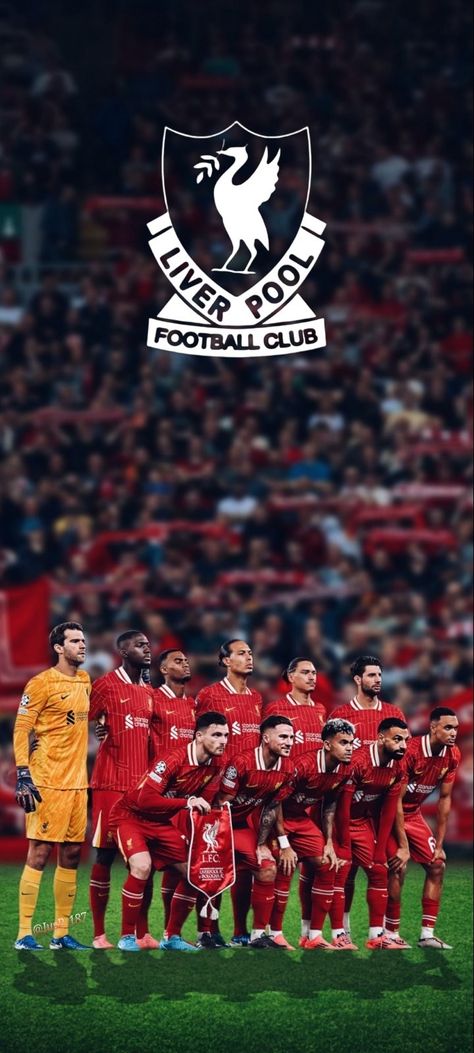 Liverpool Phone Wallpaper, Iphone Wallpaper Liverpool, Liverpool Wallpaper, Lfc Wallpaper, Liverpool Fc Team, Liverpool Poster, Liverpool Logo, Soccer Men, Liverpool Wallpapers