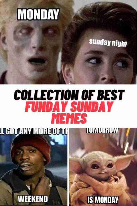 Funday Sunday Memes #Sunday #SundayFunday #memes #funny Sunday Meme Funny, Funny Sunday Memes, Saturday Memes, Sunday Meme, Morning Jokes, Sunday Humor, Friday Meme, Monday Memes, Rainy Sunday