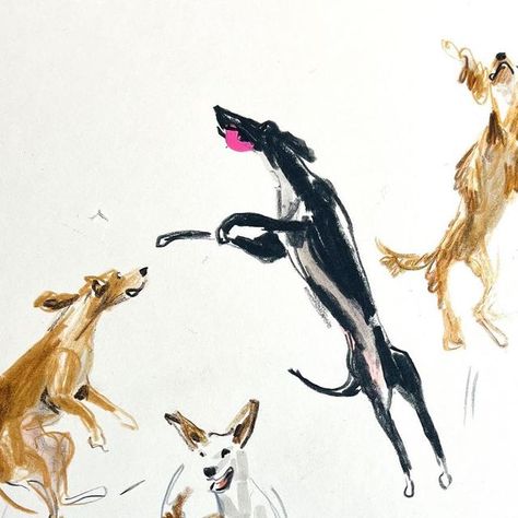 Jenny Bloomfield on Instagram: "Day 3304: jumping for joy (This will be included in my next release of original dog drawings on 29th Sept at 7pm UK time) #drawingaday #drawingadaychallenge #illustration #drawingadaychallenge #dogsofinstagram #jumpingdogs #jumpingforjoy #dogsketch #drawingdogs #dailysketch" Dog Jumping Illustration, Jenny Bloomfield, Jumping Dog, Dog Jumping, Dog Drawings, Ball Drawing, Dog Sketch, Jumping For Joy, Dog Runs