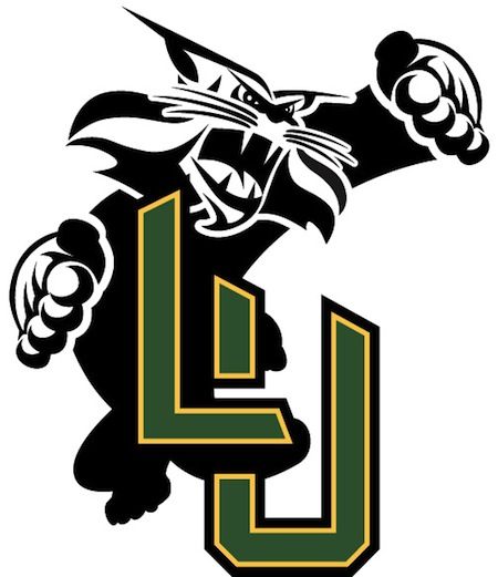 Lesley University, Athletics Logo, Cambridge Massachusetts, Ncaa Basketball, College Logo, Sports Art, College Sports, Lynx, Sports Logo