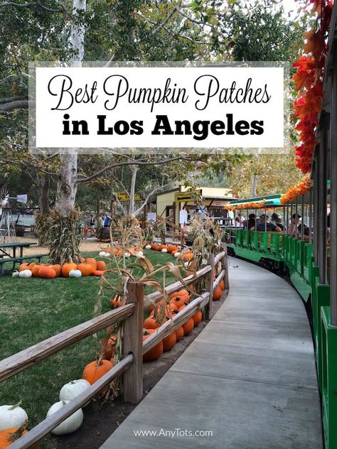 Best Pumpkin Patches in Los Angeles & Orange County in California. November Events, Best Pumpkin Patches, California Christmas, Pumpkin Patches, Best Pumpkin, Train Rides, California Travel, Event Calendar, Travel With Kids