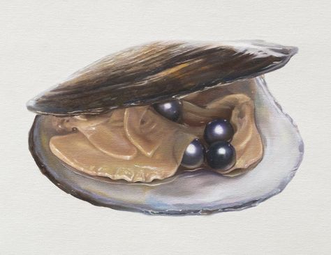 Paintings Of Oyster Shells, Oyster With Pearl Drawing, Acrylic Oyster Painting, Pearl In Oyster, Oyster With Pearl Painting, Happiness Is A Butterfly, Oyster Art, Sea Queen, The World Is Your Oyster