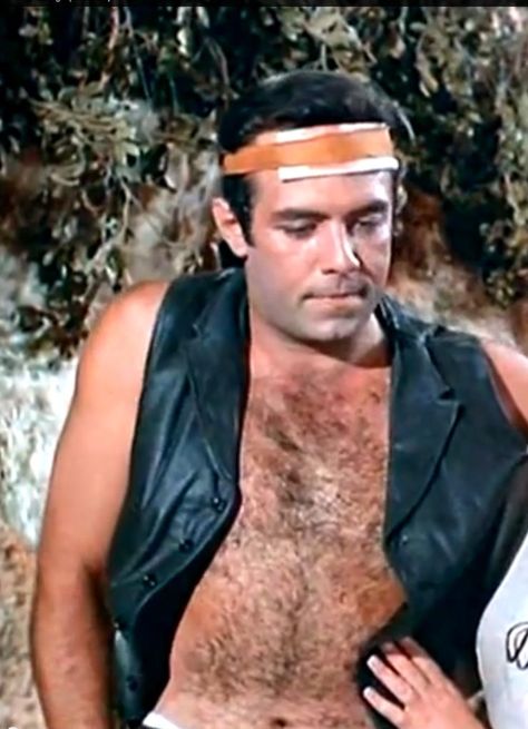 Adam from "The Savage" Hugh Jackman Shirtless, Alpha Man, Adam Cartwright, Male Movie Stars, Shirtless Actors, Bonanza Tv Show, Pernell Roberts, Comedy Tv Shows, Michael Roberts