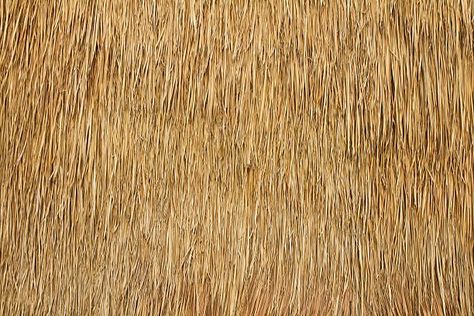 43,300+ Thatched Roof Stock Photos, Pictures & Royalty-Free Images - iStock | Thatched roof texture, Thatched roof isolated, Thatched roof house Roof Texture, Asphalt Texture, Thatch Roof, Roof House, Thatched Roof, House Roof, Luxury Homes Dream Houses, Royalty Free Images, Luxury Homes