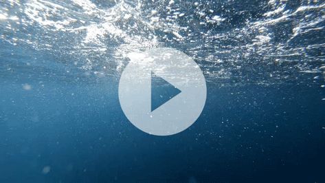 Ocean Diving, Water Video, Underwater Video, Background Hd, Ocean Water, Sea Ocean, Water Flow, Clear Water, Rainy Day