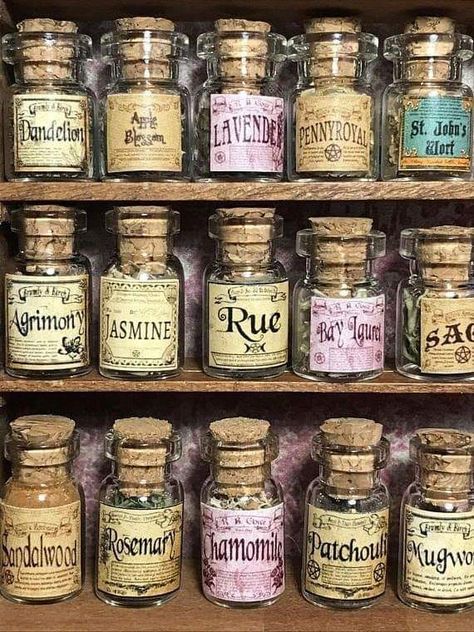 Witch Herbs, Magia Das Ervas, Buku Harry Potter, Witch House, Potion Bottle, Witch Aesthetic, Kitchen Witch, Spell Book, Book Of Shadows